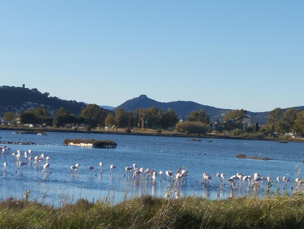 Le Surplage Hyères Kültér fotó