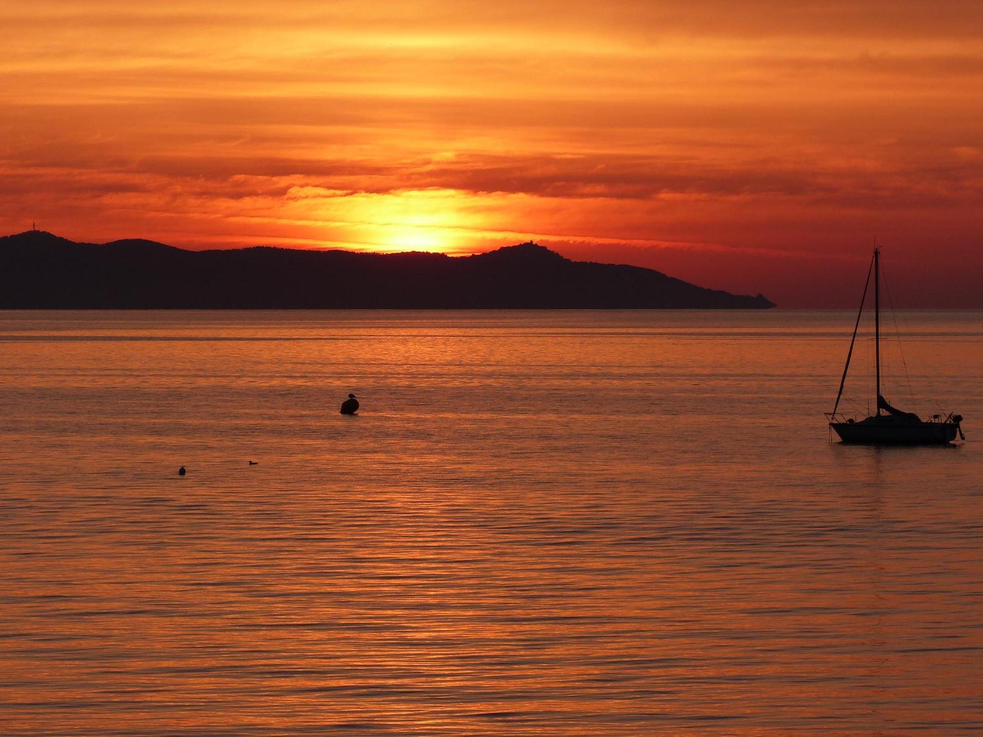 Le Surplage Hyères Kültér fotó